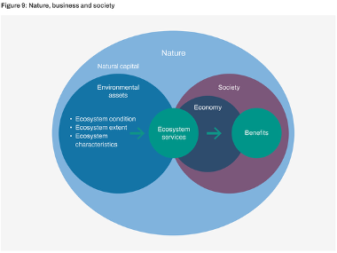 Nature, business and society